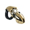 Chastity cage