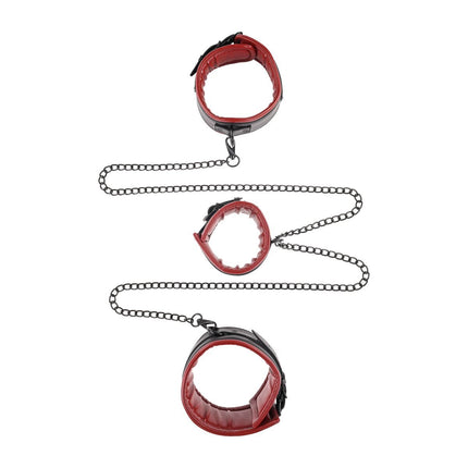 V1H095543727B3F0828D26E829EA742BACARP2