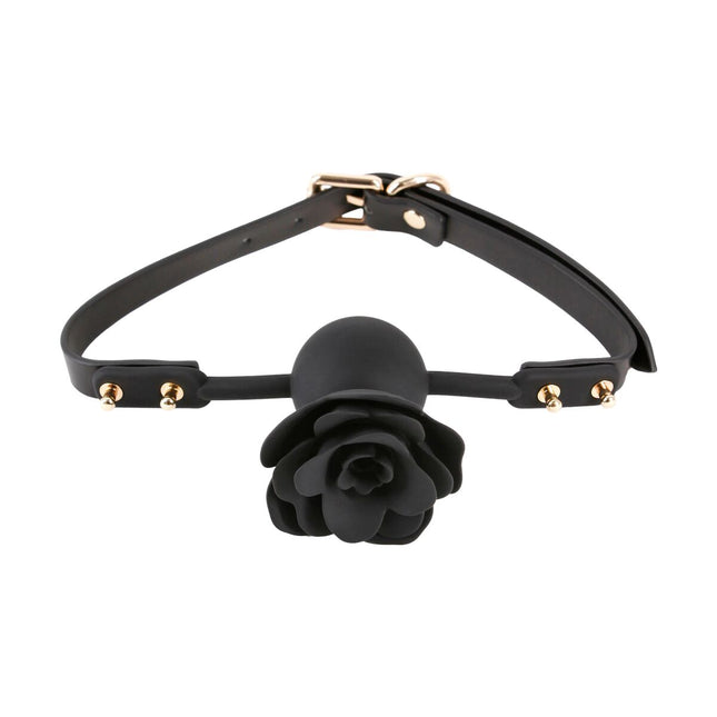 V4HCE44F4CB6949041637220C51053F8CDBR5116638P2