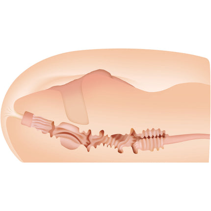 V4H4702F9DB2D700A319F06912E07599542R4903322P2